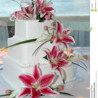 gateau