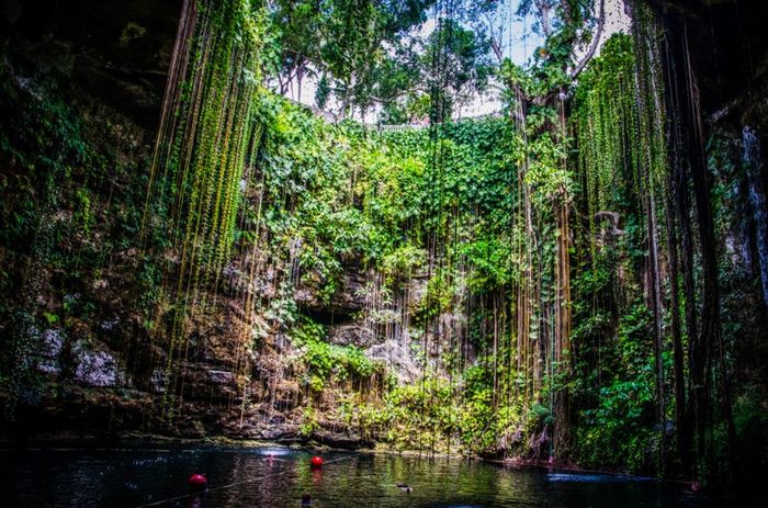 Voyage de Noce Yucatán Mexique réservé 7