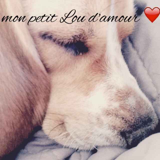 Ma demande en mariage et vous, c'était comment ? - 1