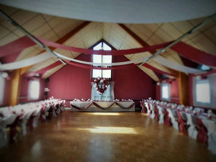 Décoration plafond salle - 1