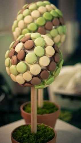 arbre macaron