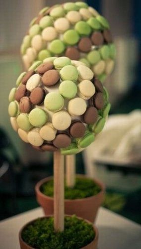 arbre macaron