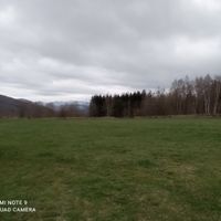 Mariage sous chapiteau ou non? - 1