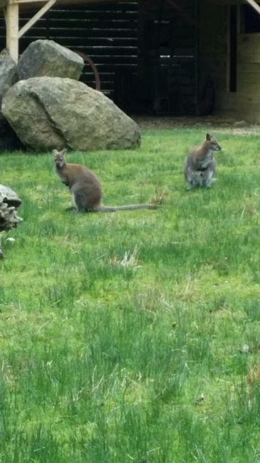 Evjf terminé ! ! - 2