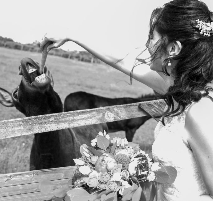 Mariage champêtre à la campagne 1