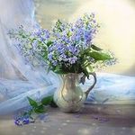 Anne