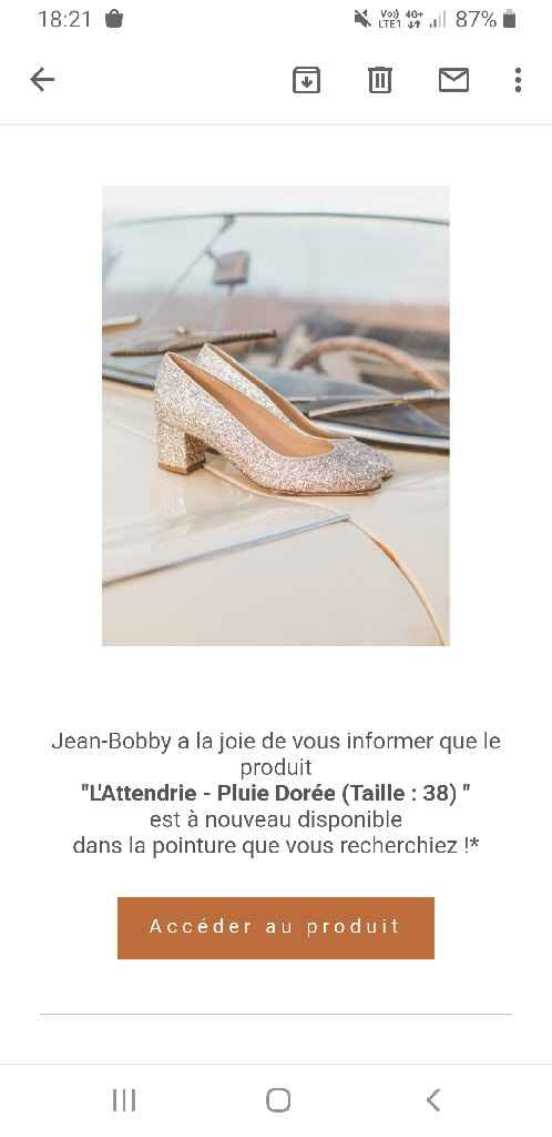 Chaussures "l'éblouie" Bobbies: vos avis ? - 1