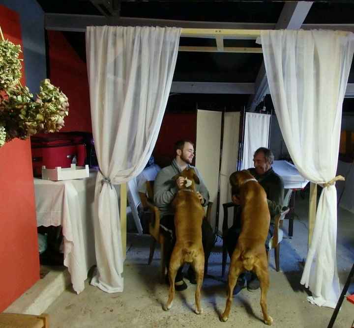 Arche mariage laïque - 2