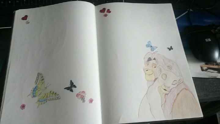 Livre d or custumisé - 3