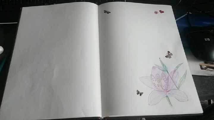 Livre d or custumisé - 5