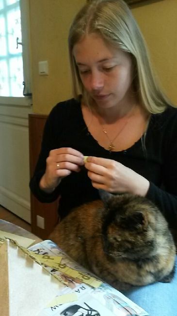 Le chat s en mêle :)) - 2