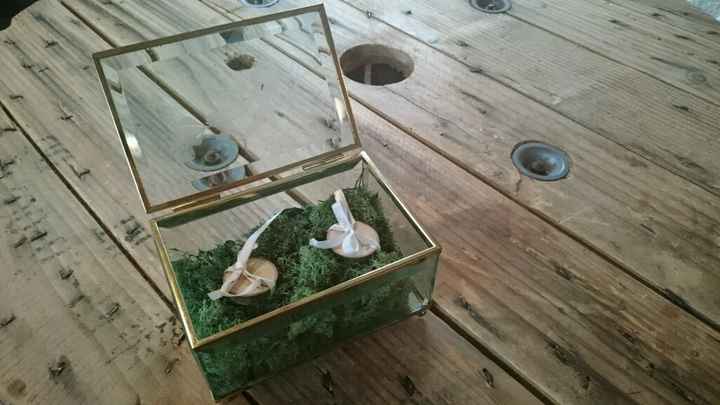 Boite à alliance en verre - 2