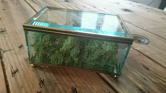 Boite à alliance en verre - 3