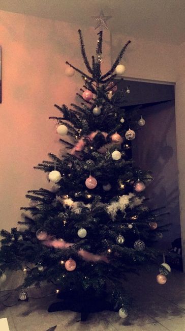 A vos sapins !!! - 1