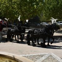 Comment allez vous arriver à la mairie ? - 1