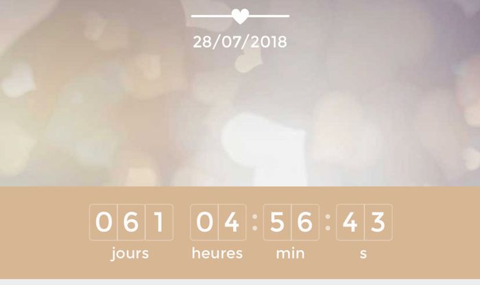 Montrez-moi vos compteurs de mariage 🤵👰 - 1