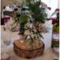 Posez vos questions je suis fleuriste ! - 1