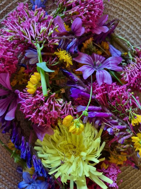 Photo lancé de fleurs séchées 🌸 - 1