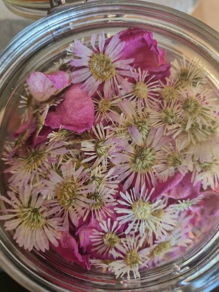 Photo lancé de fleurs séchées 🌸 - 1