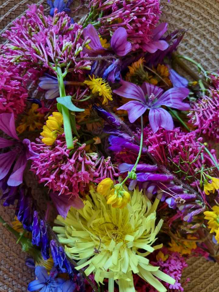 Photo lancé de fleurs séchées 🌸 - 1