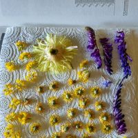 Photo lancé de fleurs séchées 🌸 - 1