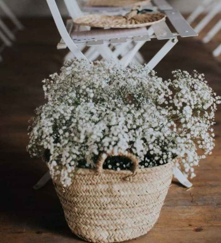 A mettre dans le jardin 