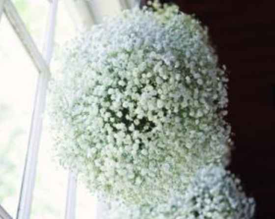 A suspendre aux arbres