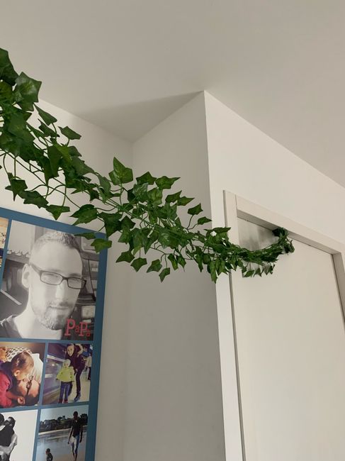 Réception et diy 7