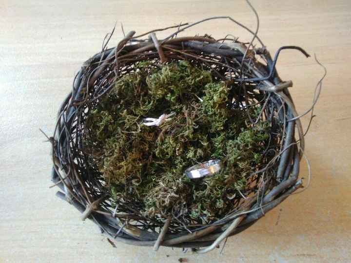 Nos bagues dans leur petit nid ! - 1