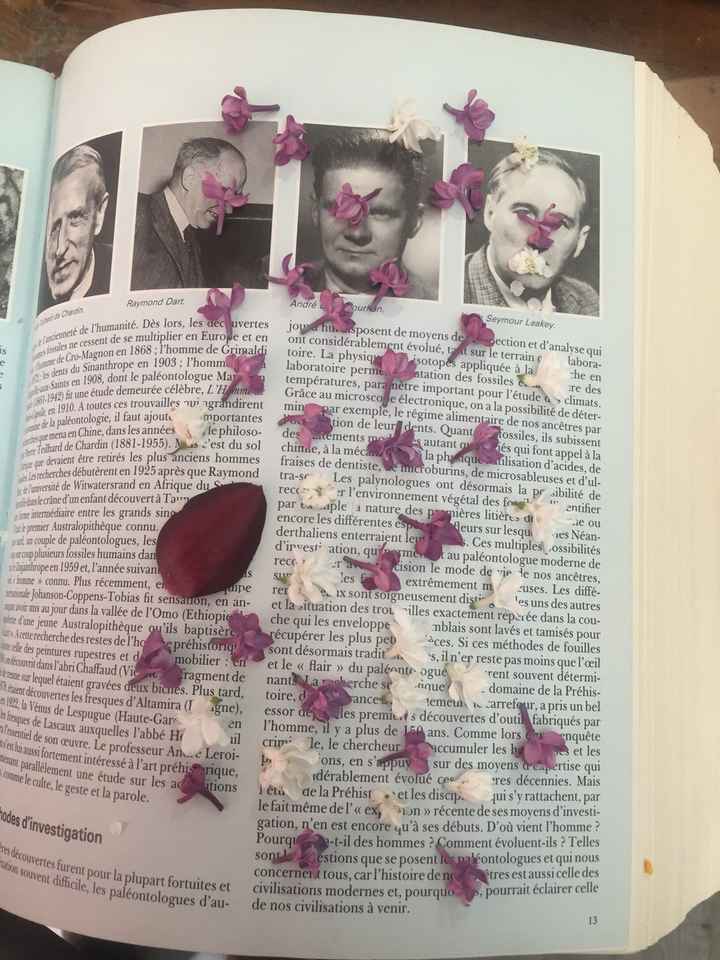 Pétales séchées pour la sortie d’église - 2