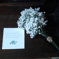 Demain c'est le jour j - 5