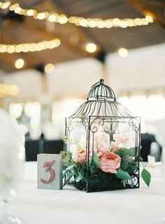 Déco cage