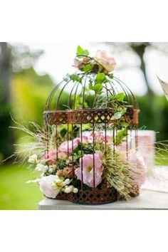 Déco cage