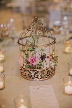 Déco cage