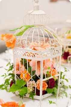 Déco cage