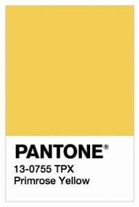 Pantone Primerose yellow