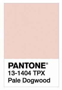 Pantone Pale Dogwood