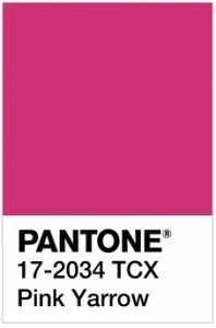 Pantone Pink Yarrow