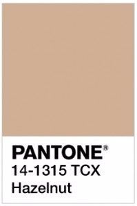 Pantone Hazelnut