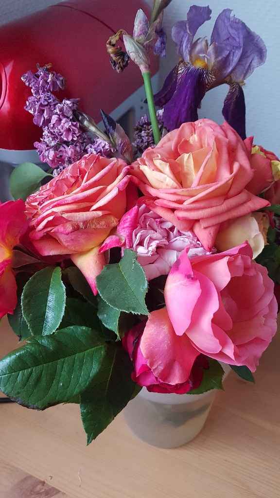 Changement de couleurs - 1