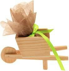 Inspiration brouette - 2