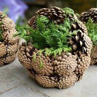 Déco thème « les Landes » - 1