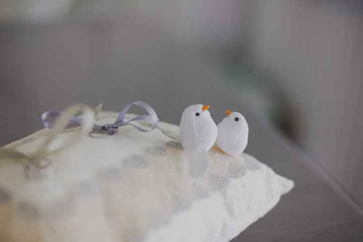 Le coussin aux alliances