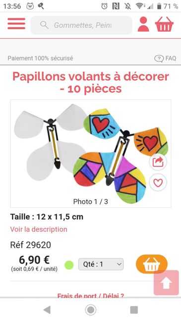 Papillon magique diy pas vraiment magique 1