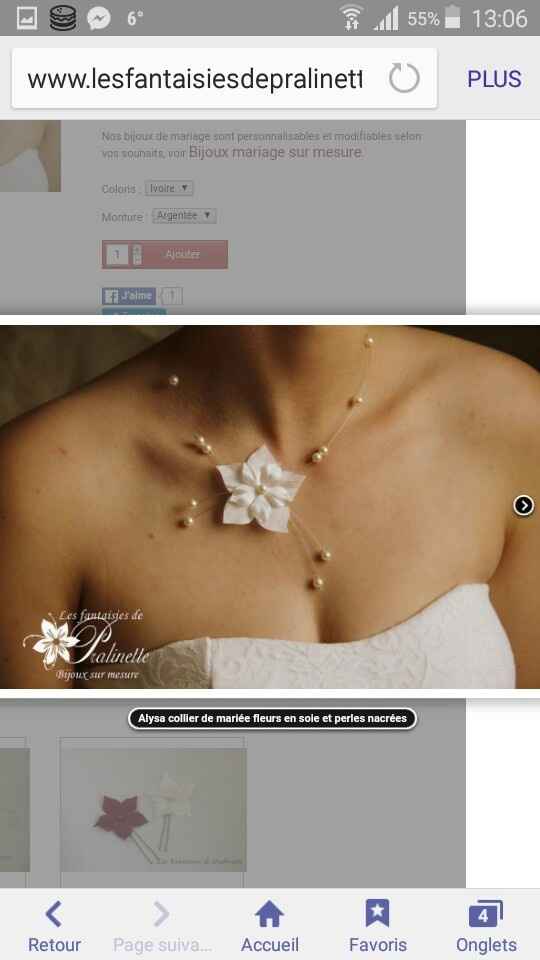 Aide choix collier - 2