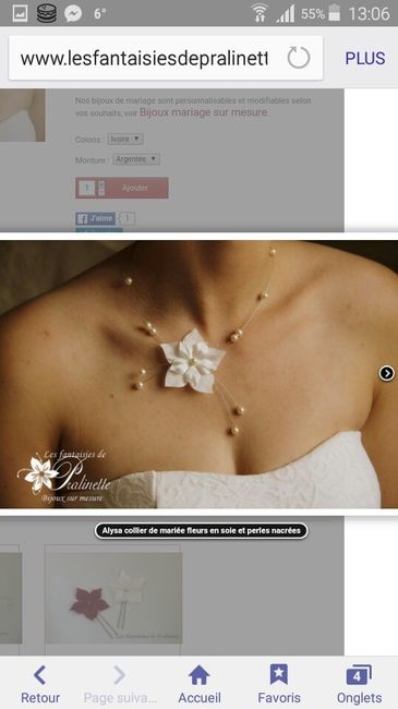 Aide choix collier - 2