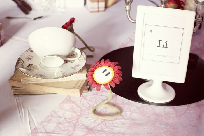 Mariage geek en 2014 - 8