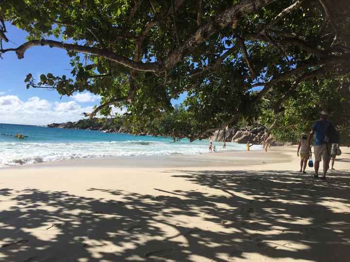 Conseils agence pour combiné ile seychelles - 1