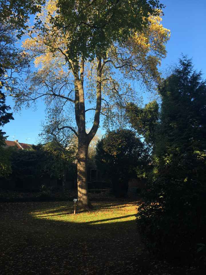  Salle réservée - 1