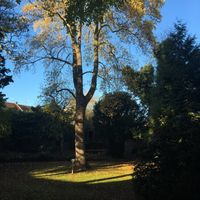  Salle réservée - 1